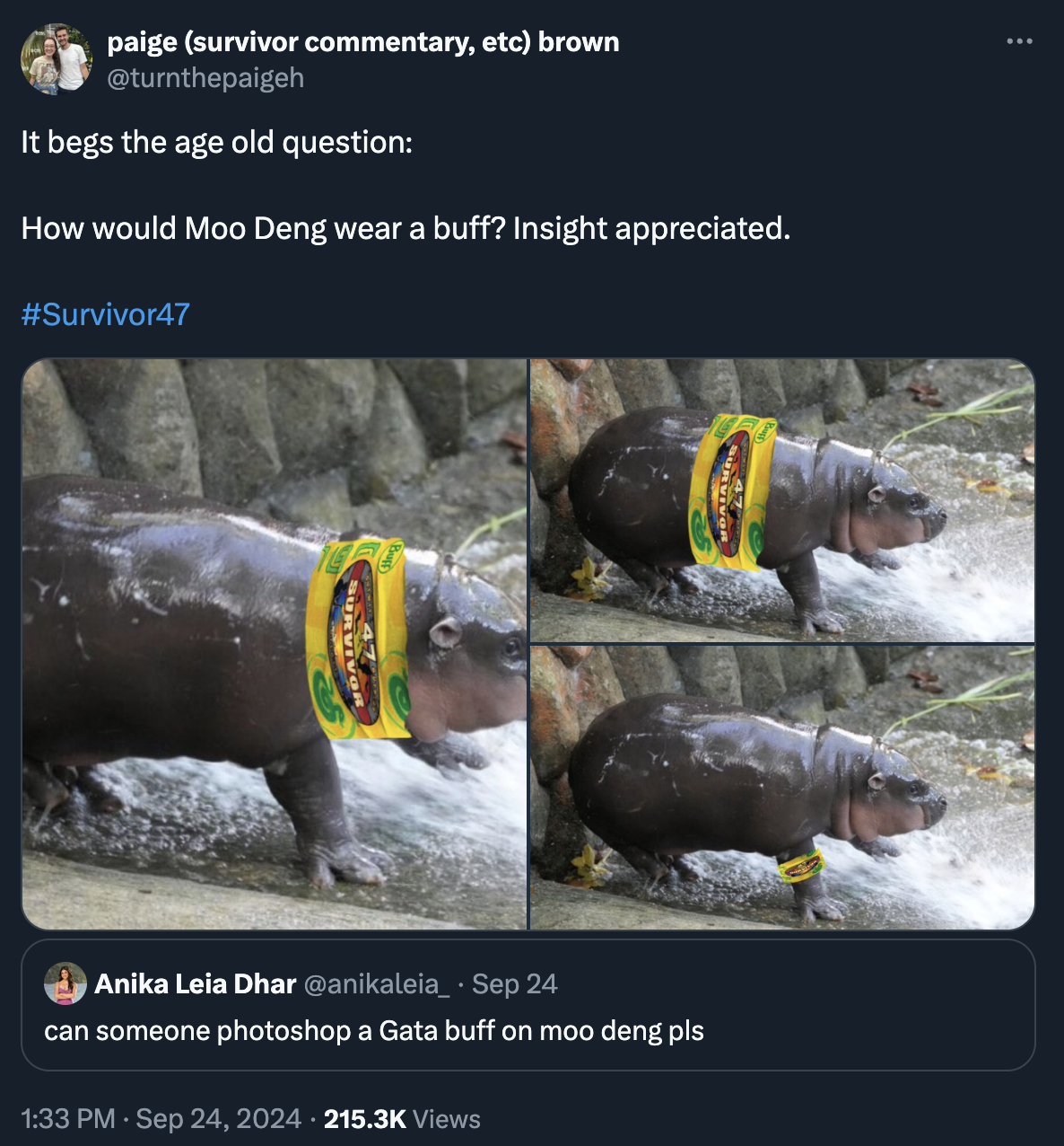 hippopotamus - paige survivor commentary, etc brown It begs the age old question How would Moo Deng wear a buff? Insight appreciated. Anika Leia Dhar Sep 24 can someone photoshop a Gata buff on moo deng pls Views